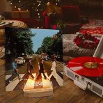 YuanDian Leseno akrilno držalo za shranjevanje vinilnih albumov - slika 2