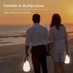 FUYO LED zunanji prenosni namizni svetilnik, večbarvni, brezžičen - slika 6