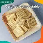 ECO SOUL 200 Kos Kvadratnih Bio Krožnikov iz Palmovih Listov, 15 cm - slika 2