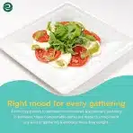 ECO SOUL 15 cm Kvadratni Krožniki – Papirnati (Bio Razgradljivi) – Pakiranje 200 Kosov - slika 6