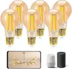 Aigostar pametna žarnica E27 Edison Vintage 6W - 6 kosov