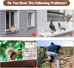 Protecker ptičje konice - 12 kosov konic - slika 5