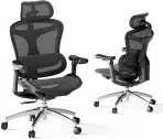 SIHOO Doro C300 ergonomski pisarniški stol z 3D nasloni za roke
