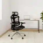 SIHOO Doro C300 ergonomski pisarniški stol z 3D nasloni za roke - slika 2