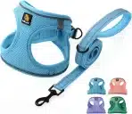 BELLA & PAL oprsnica za male pse z povodcem - Sky Blue