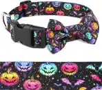Halloween Ovratnica za Pse z Metuljčkom