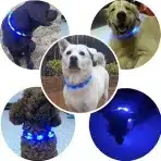 KABB LED ovratnica za pse, USB polnilna - slika 3