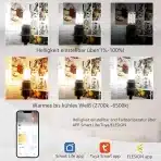 I-SHUNFA Wi-Fi pametna LED žarnica E27 – 2 kosa - slika 6