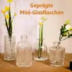 SuproBarware mini vaze 12 kosov - steklene - slika 8