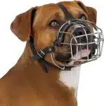BRONZEDOG – Kovinski nagobčnik za psa - velikost 4 (Pitbull....) - slika 6