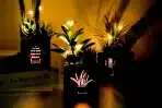 Begondis – Set 3 umetnih rastlin z LED razsvetljavo v lesenem okvirju - slika 3