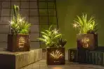 Begondis – Set 3 umetnih rastlin z LED razsvetljavo v lesenem okvirju - slika 5