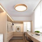 WAYLUOUNG lesena LED stropna svetilka - slika 4