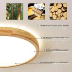 WAYLUOUNG lesena LED stropna svetilka - slika 3