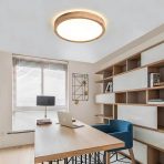 WAYLUOUNG lesena LED stropna svetilka - slika 5