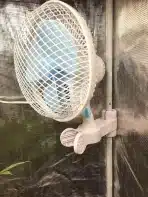 BLESSNY Nihajni ventilator s sponko za rastlinjake in šotore - slika 2