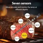 BBQOVN WiFi brezžični termometer za meso - slika 3