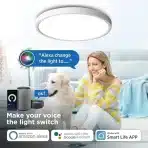 ANTENLICHT 30 cm pametna LED stropna svetilka - slika 5