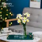 6x Hewory steklene vazice za rože S, M in L - slika 3