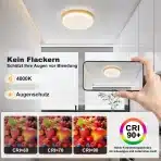 Vikaey stropna LED svetilka 27 cm, 24 W, 4000 K, bela - slika 2