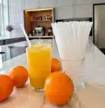 100x Greenland Slamice za Večkratno Uporabo 21 cm - slika 2