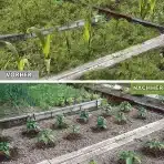 BARAYSTUS Trikotna Vrtna Motika z Nastavljivim Ročajem - slika 3
